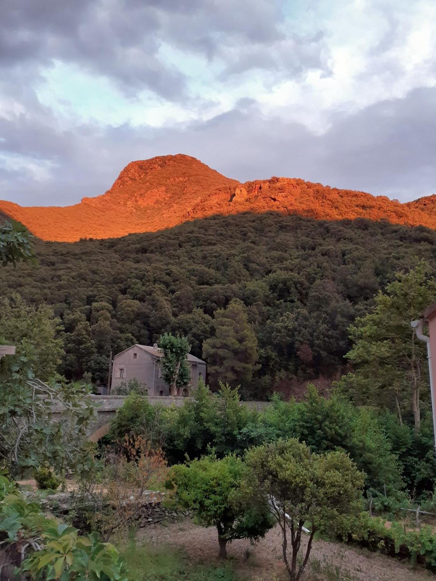 Cap Corse - Maison A 500M De La Plage Grillasca 외부 사진